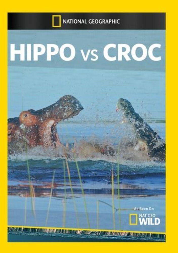 Hippo vs Croc