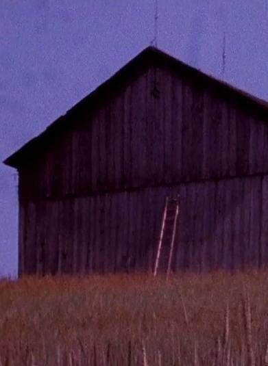 Barn Rushes