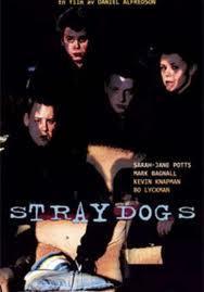 Straydogs