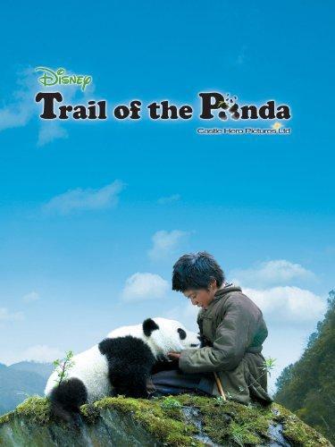 Trail of the Panda