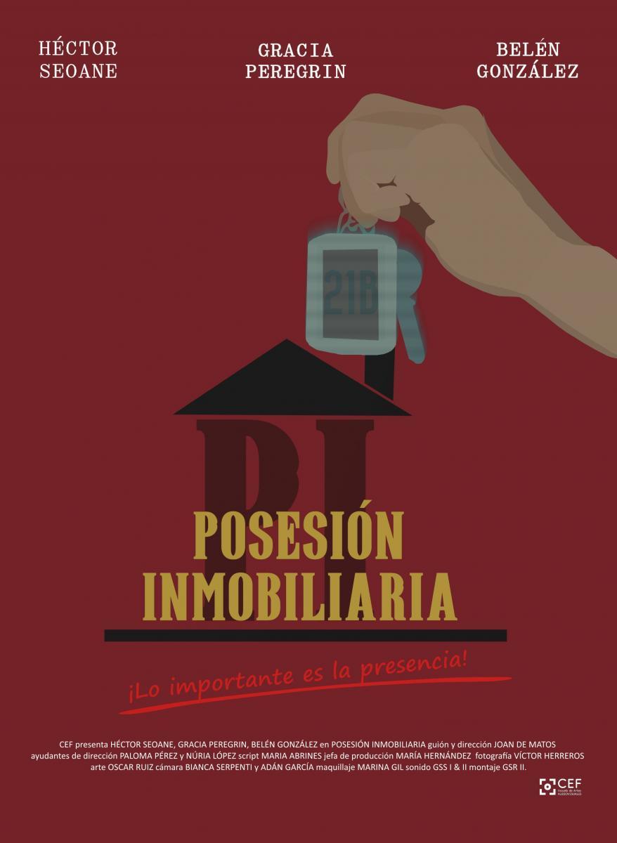 Posesión Inmobiliaria (C)