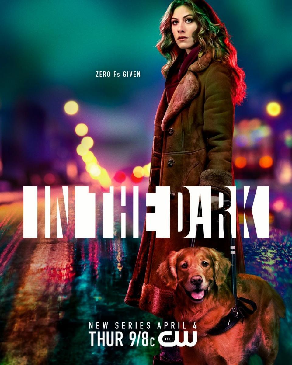 In the Dark (Serie de TV)