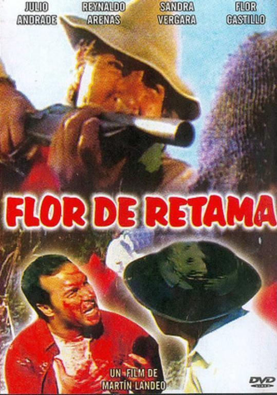 Flor de Retama