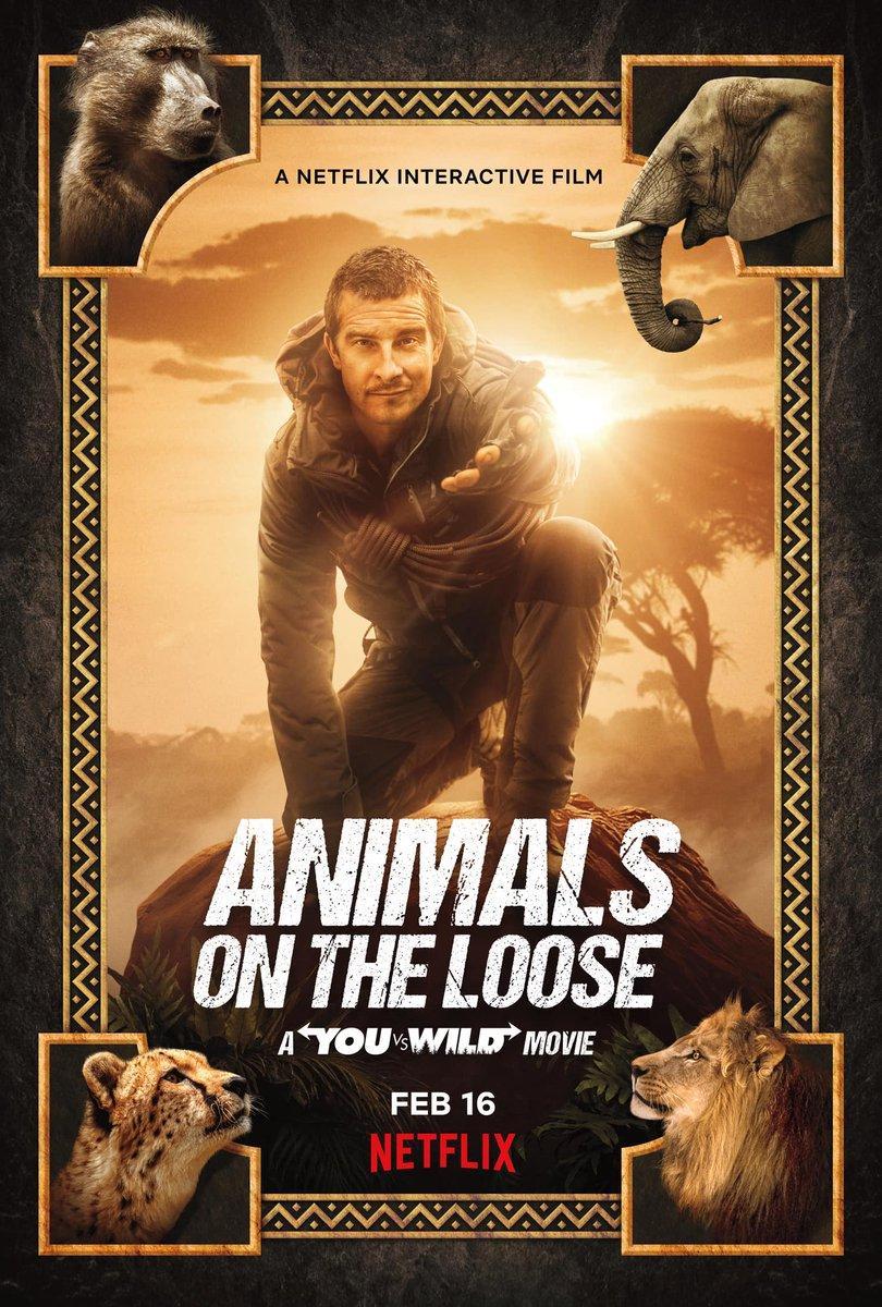 Animals on the Loose: A You vs. Wild Movie