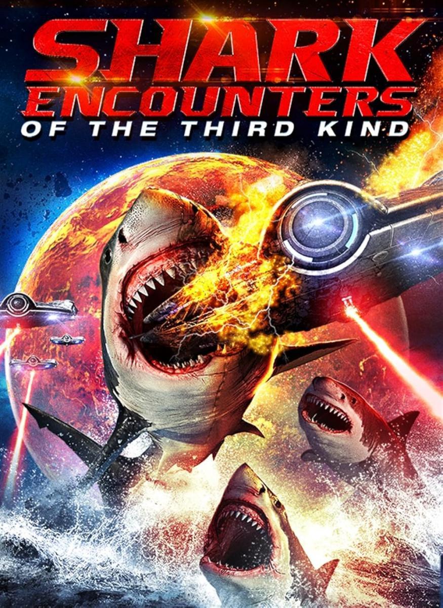 Shark Encounters of the Third Kind