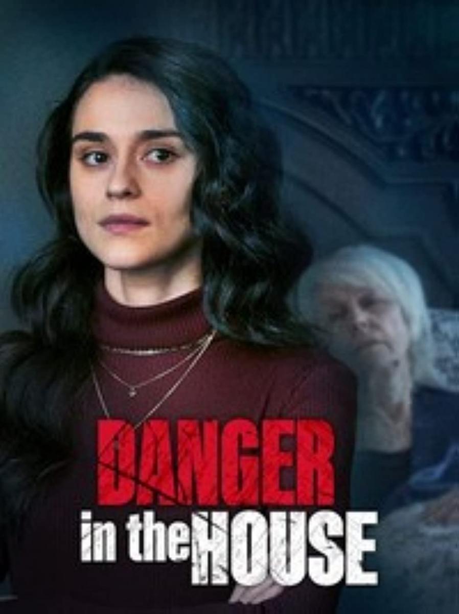 Danger in the House (TV)