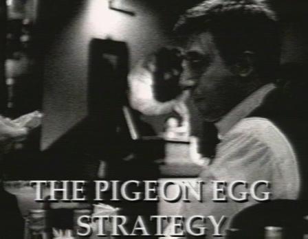 The Pigeon Egg Strategy