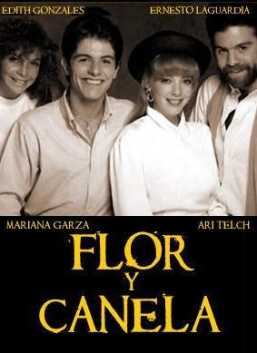 Flor y canela (Serie de TV)