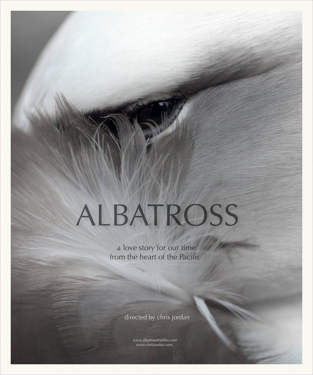 Albatross