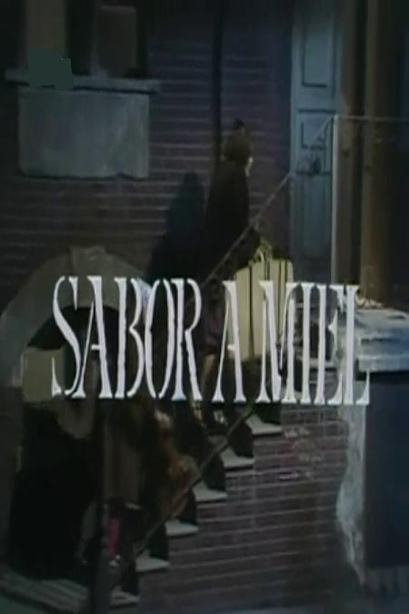 Sabor a miel (TV)