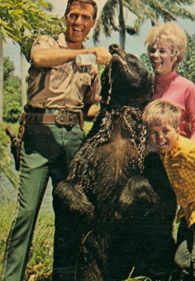 Gentle Ben (TV Series)