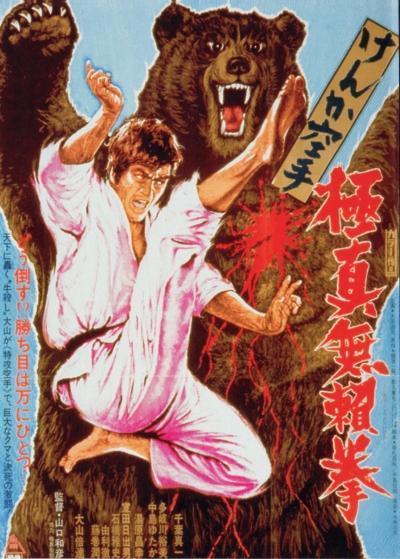 Karate Bear Fighter