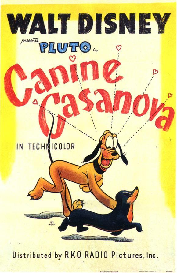 El casanova canino (C)