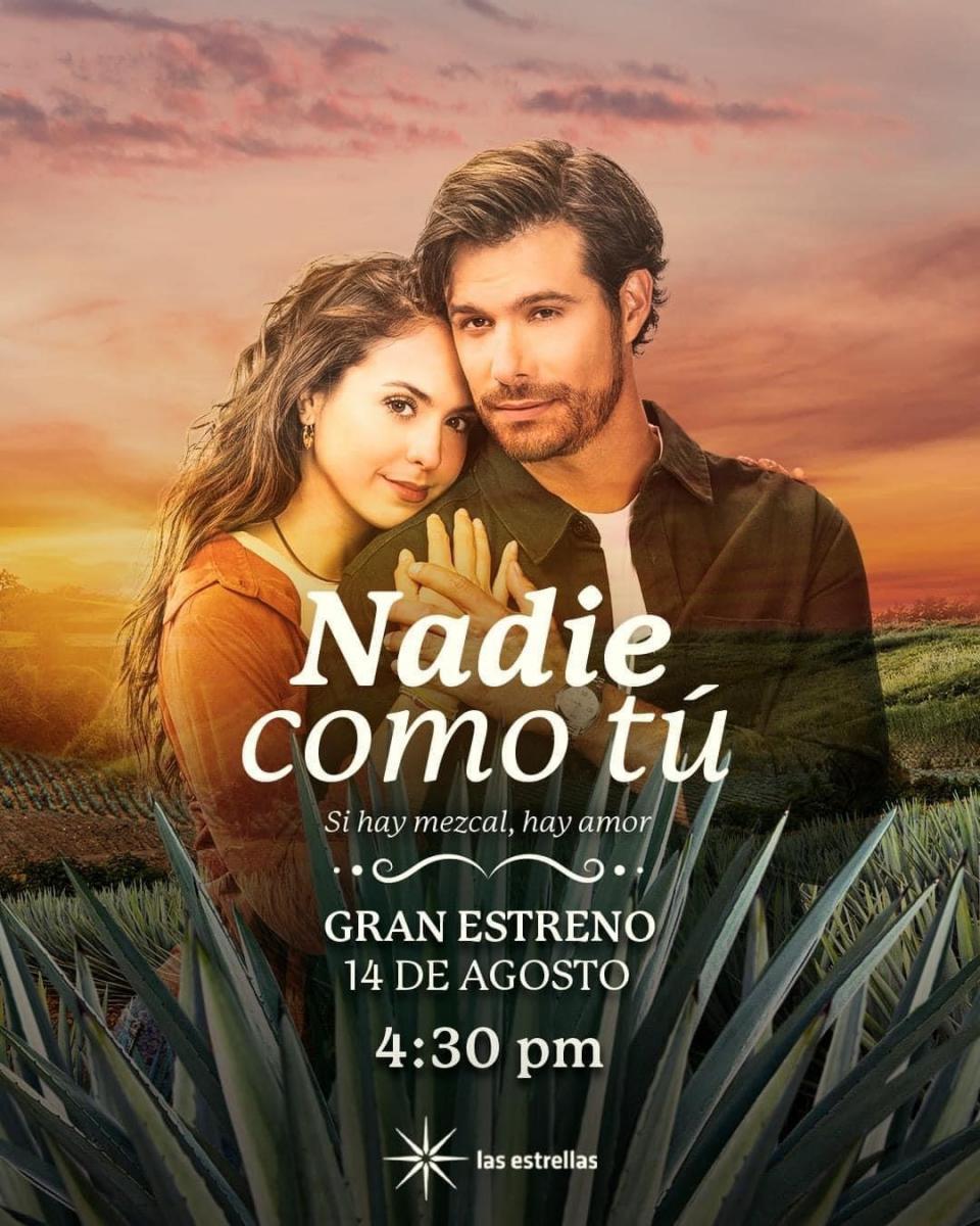 Nadie como tú (TV Series)