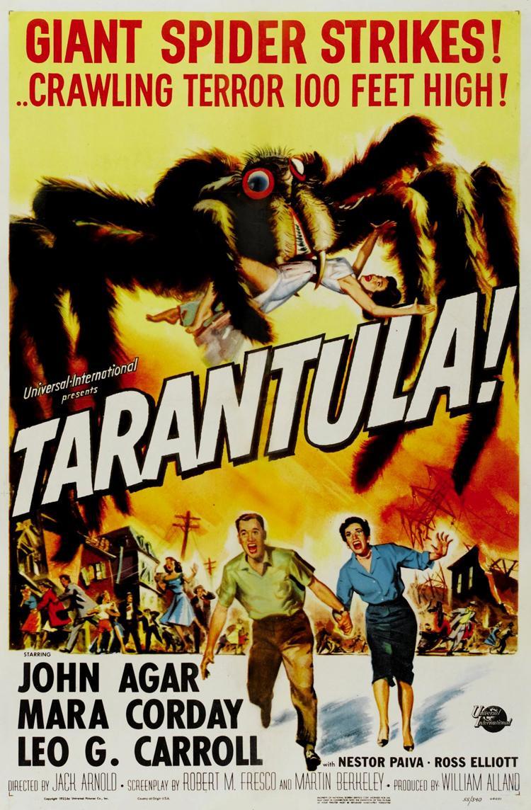 Tarantula