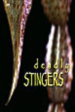 Deadly Stingers