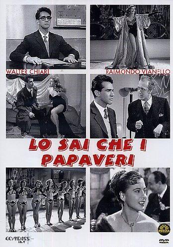 Lo sai che i papaveri