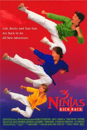 3 ninjas contraatacan (Tres pequeños ninjas 2)