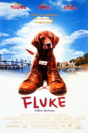 Mi amigo Fluke