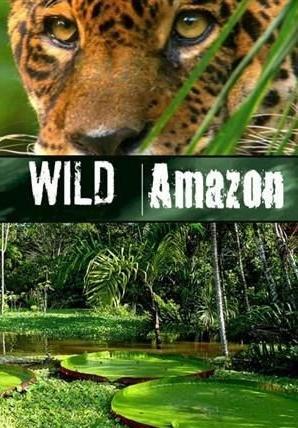 Wild Amazon (TV Miniseries)