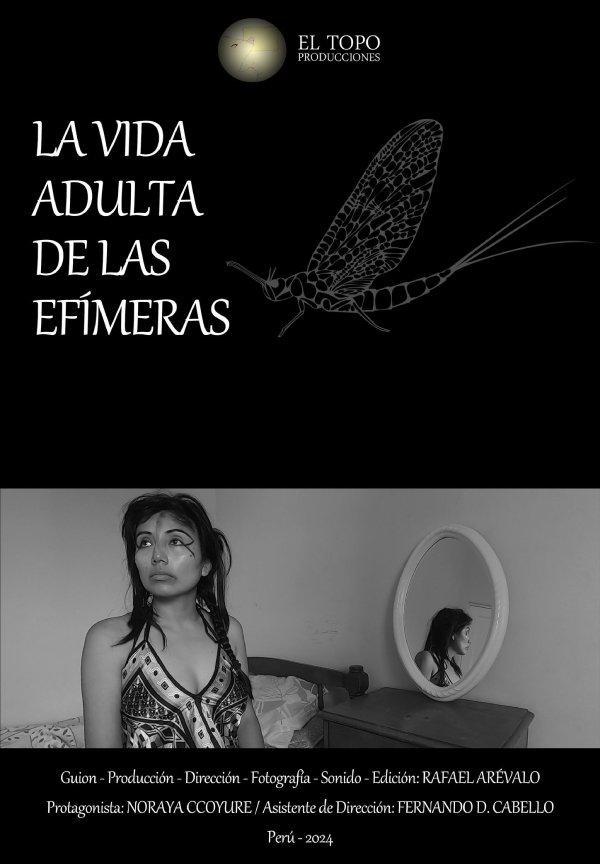 La vida adulta de las efímeras