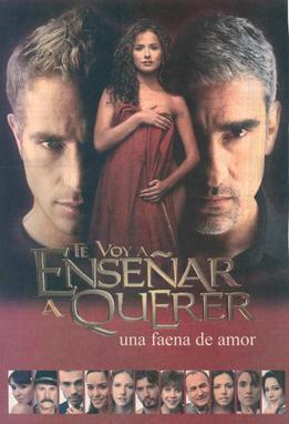 Te voy a enseñar a querer (Serie de TV)