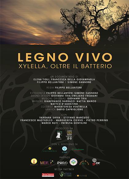 Legno vivo: Xylella, oltre il batterio