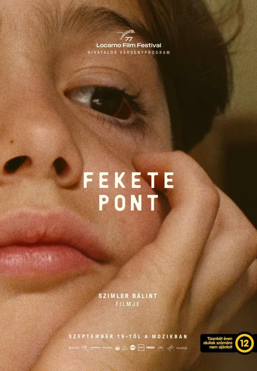 Fekete pont