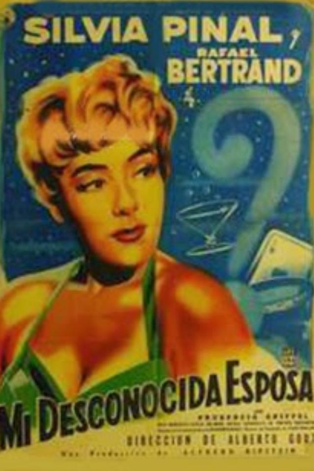 Mi desconocida esposa