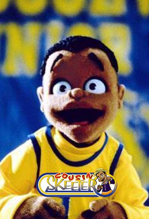 Cousin Skeeter (TV Series)