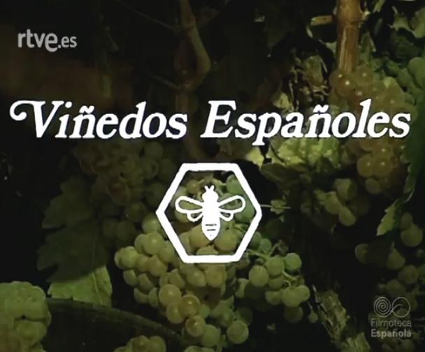 Viñedos españoles (S)