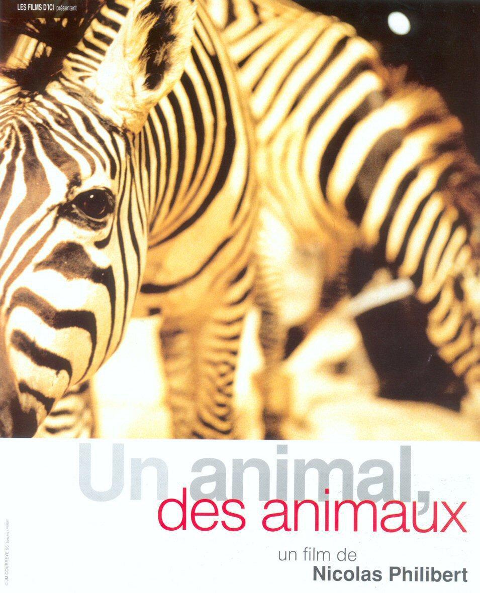 Un animal, animales (Un animal, varios animales)