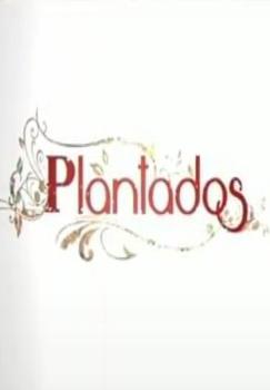 Plantados (Serie de TV)