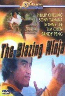 The Blazing Ninja