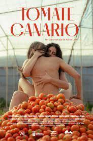 Tomate canario (C)