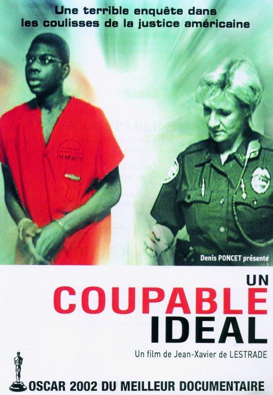 Un culpable ideal (Un coupable idéal)