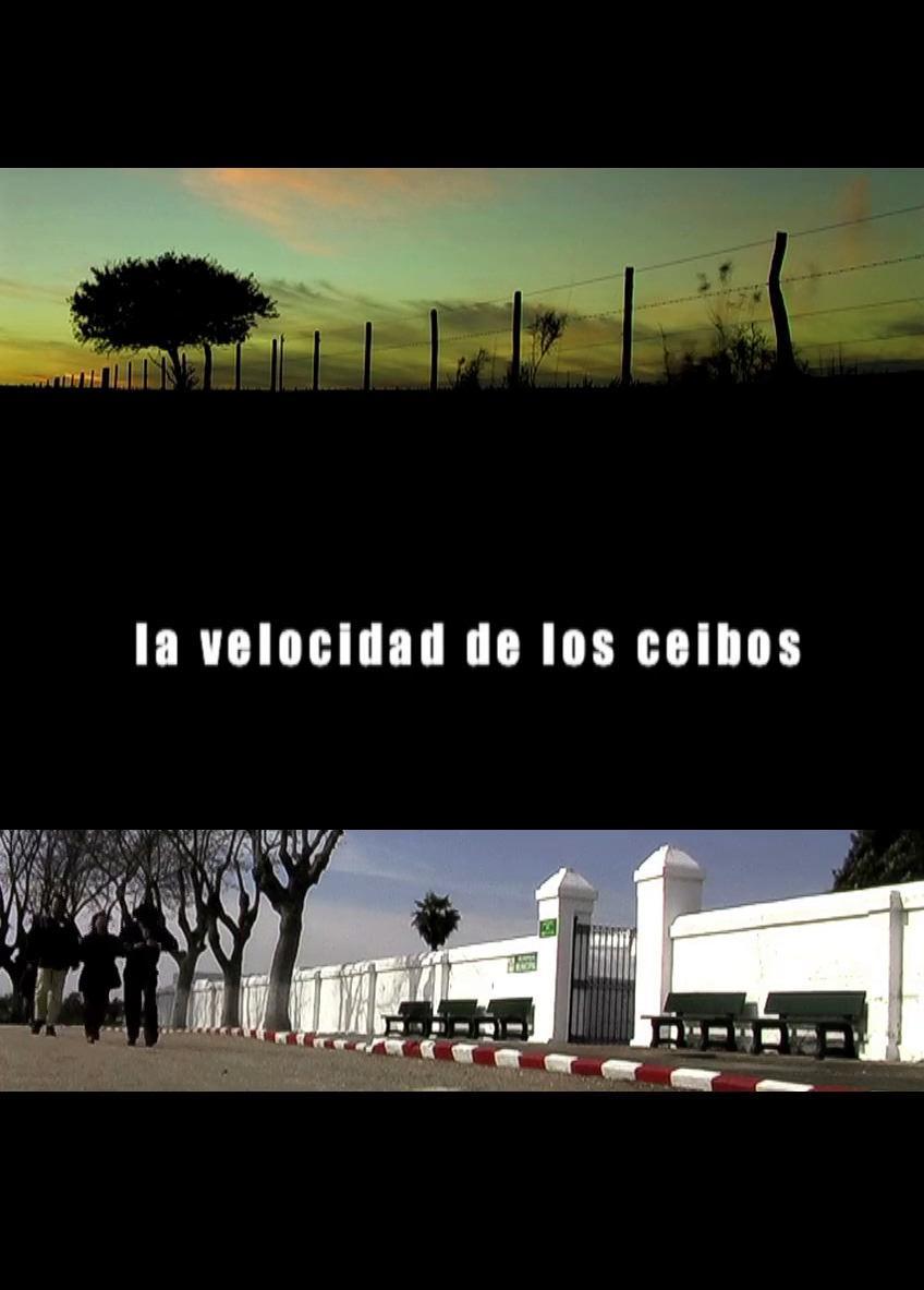 La velocidad de los ceibos (C)