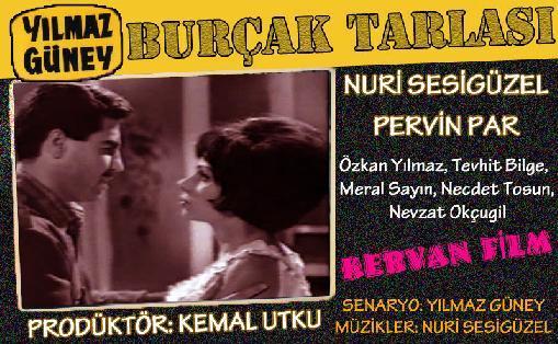 Burçak tarlasi