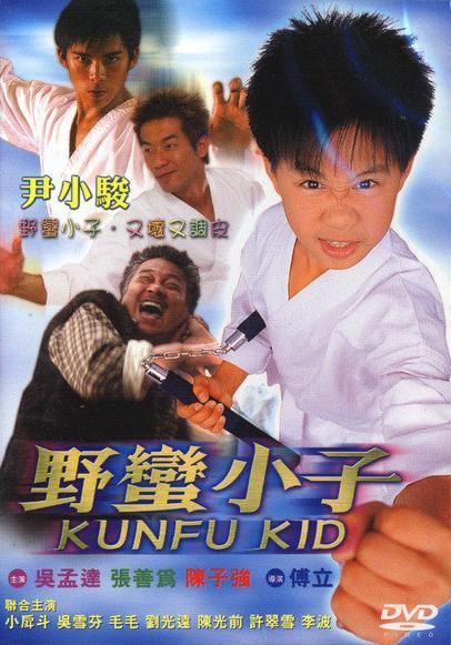 Kung Fu Kid