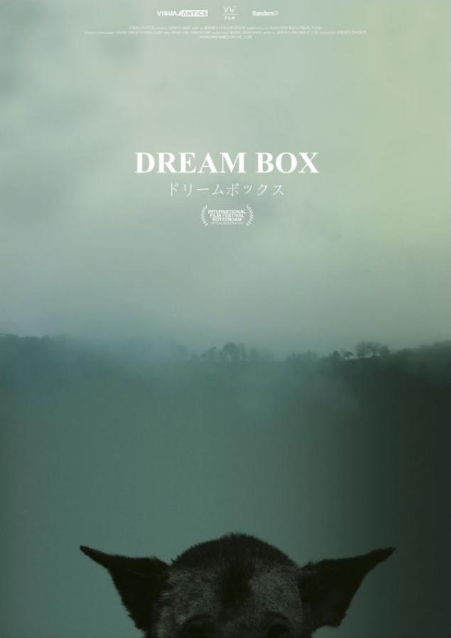 Dream Box