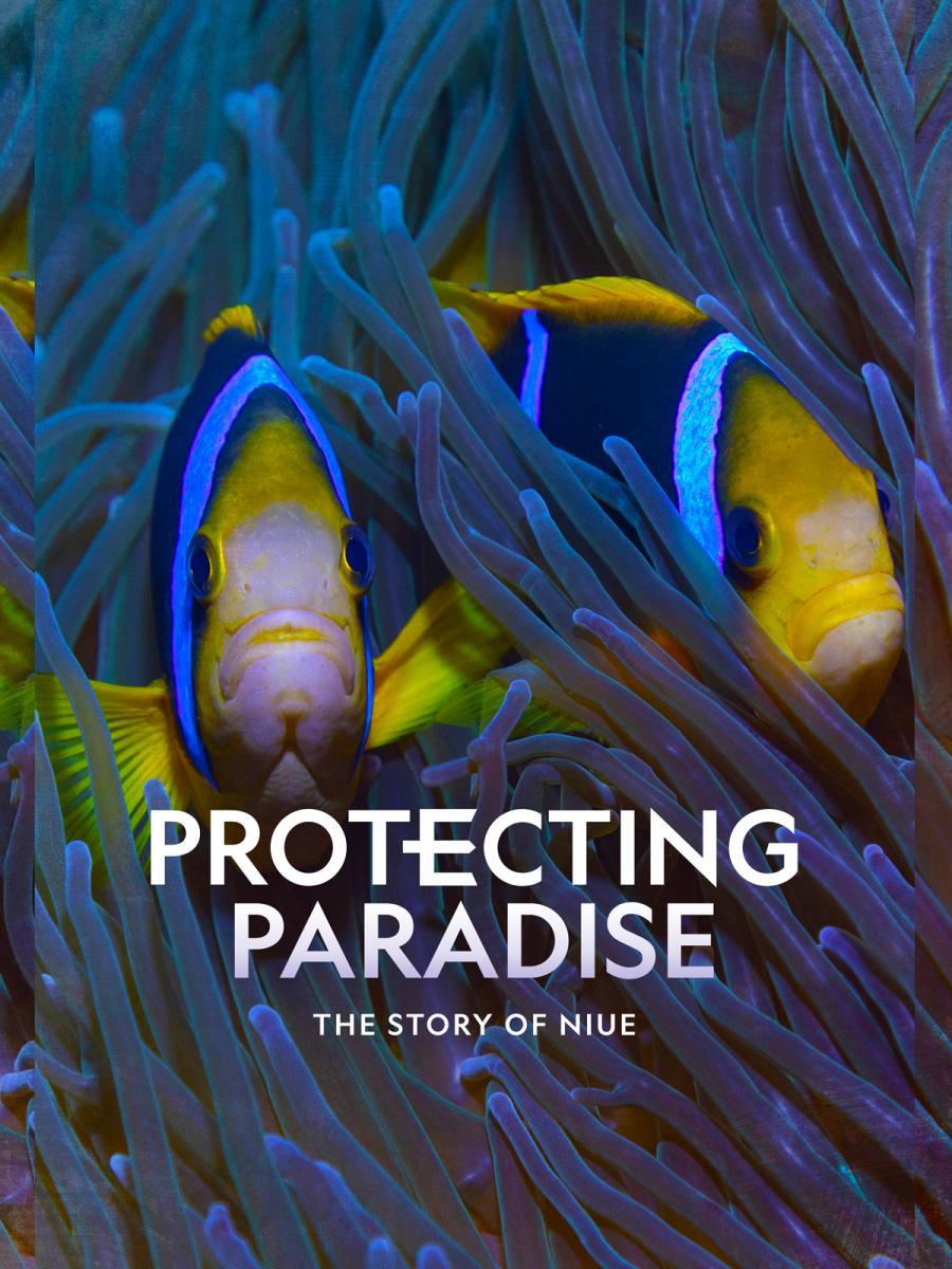 Protegiendo el paraíso: La isla de Niue