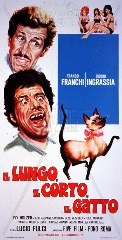 Il lungo, il corto, il gatto