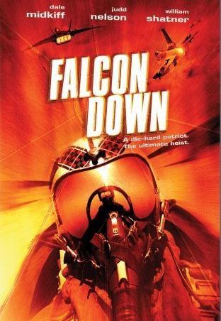 Proyecto Falcon