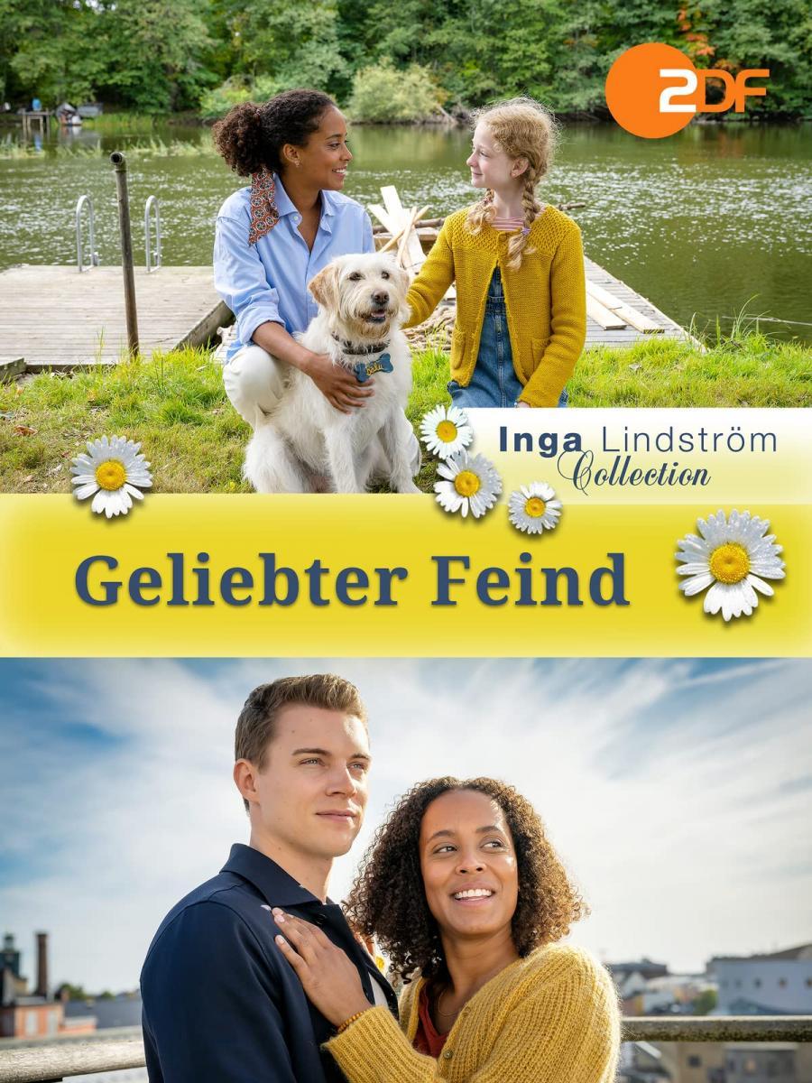 Geliebter Feind (TV)