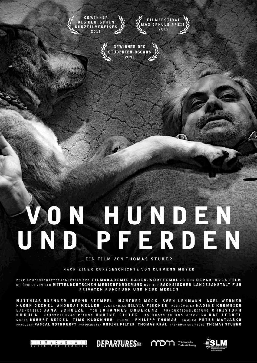 Von Hunden und Pferden