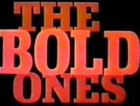 The Bold Ones: The Lawyers (TV Series)