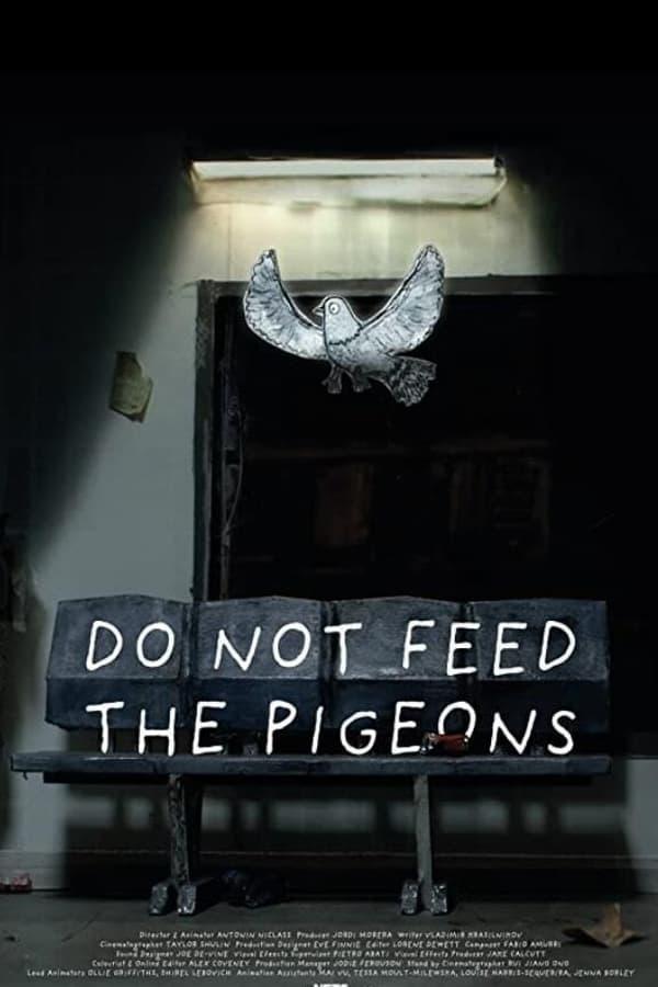 Do Not Feed the Pigeons (S)