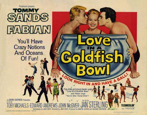 Love in a Goldfish Bowl