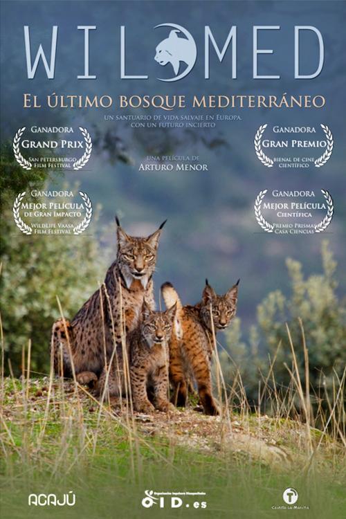 WildMed, el último bosque mediterráneo