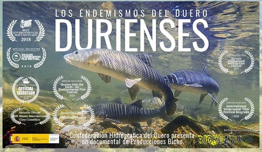 Durienses: Los endemismos del Duero